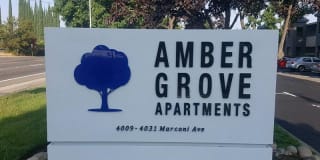 Amber Grove Gallery 6