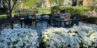 The Willows Gallery 6