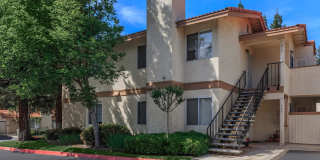 Palm Mission Village & Estates Gallery 46