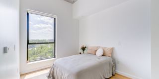 Foster Flats Gallery 74