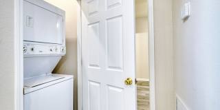 Silver Springs Gallery 7