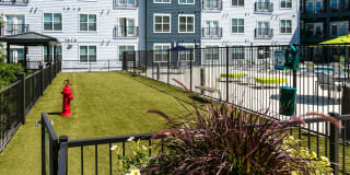 Lincoln Place Gallery 5