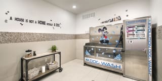 Breakwater Gallery 15