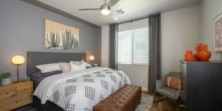 Village at Schnepf Farms Gallery 2