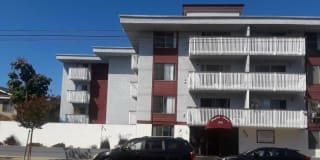 Newport Plaza Gallery 3