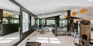 Kallisto at Bear Creek Gallery 8