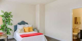 The Cecil Gallery 10