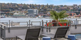 Dexter Hayes Apartments Gallery 42