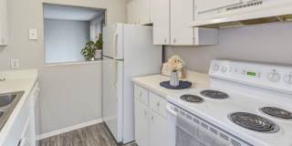 The Onyx at 3211 Gallery 16