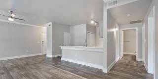 Reagan at Bear Creek Gallery 1