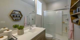 Village at Schnepf Farms Gallery 12