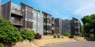 Bass Lake Crossing Gallery 20