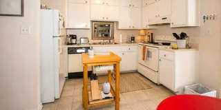 Dresden Forest Gallery 1