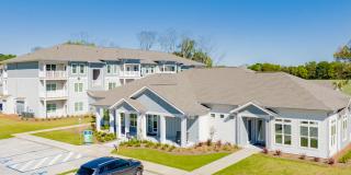 Exchange at Daphne Gallery 32