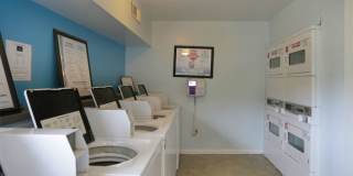 Silversmith Creek Gallery 2