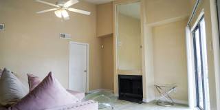 Trenton Place Gallery 17