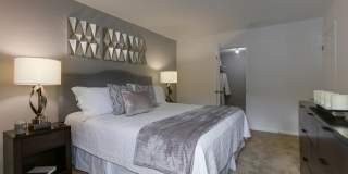Steeplechase Gallery 17