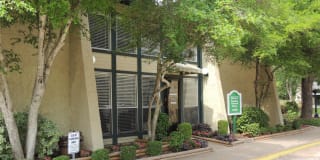 Alexis Park Gallery 33