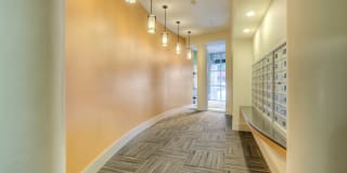 City North Gallery 45