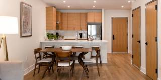 Illustrator Gallery 7