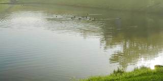 Breton Court Gallery 21