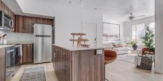 Vida at Daybreak Gallery 3