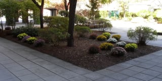 Hampton Court Gallery 5