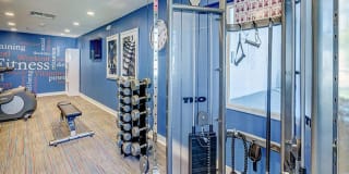 The Harrison Gallery 21