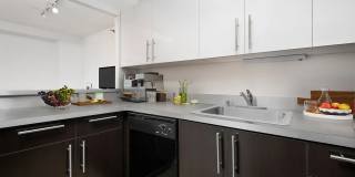 1133 North Dearborn Gallery 24