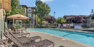 Natomas Park Gallery 22