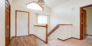 Redtail Court Gallery 11