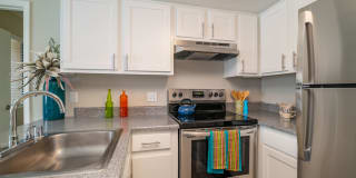 Dorado Heights Gallery 11