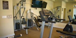 Estate Villas at Krum Gallery 42