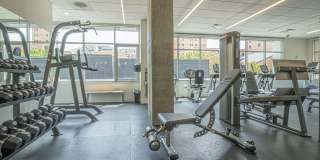 Ovation 309 Gallery 28