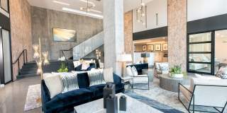 Orion Gallery 15