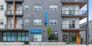 The Stella Gallery 4