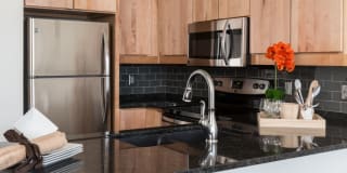 Plant 1 Plant 1 Gallery 1