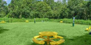 Park at Walden Lake Gallery 34