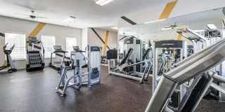 Legacy at Cross Creek Gallery 22