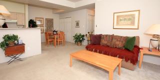 The Preserve at Belmont Gallery 1