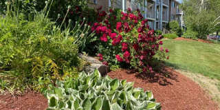 Park View Hills Condominium Gallery 13