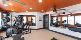 Delara Chase Gallery 4