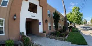 Villa Rivera Gallery 11