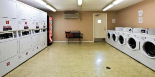 Cross Creek Gallery 30