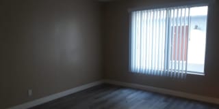 Newport Plaza Gallery 19