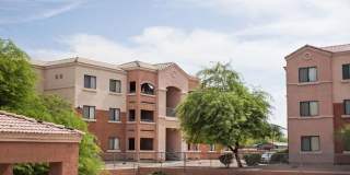 Chandler Gardens Gallery 1