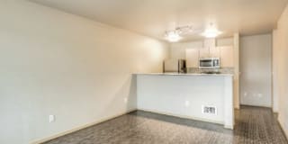 City North Gallery 1