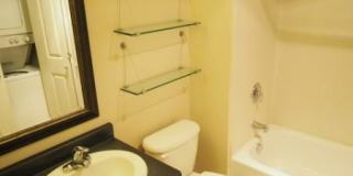 Yugo Seattle Lothlorien Gallery 28