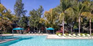 The Falls at Arden Gallery 36