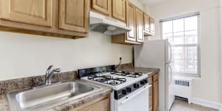 The Roberta Gallery 3